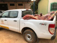 Imagem ilustrativa da imagem Duas toneladas de carne imprópria para consumo são apreendidas em Rianópolis