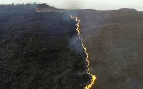 Imagem ilustrativa da imagem Incêndio destrói 500 hectares do Parque Nacional da Chapada dos Veadeiros