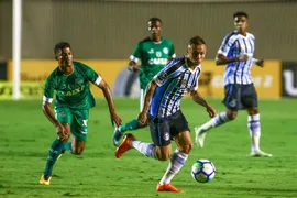 Imagem ilustrativa da imagem Grêmio x Goiás: saiba tudo sobre as duas equipes