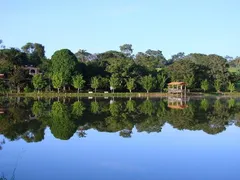 Imagem ilustrativa da imagem 5 lugares para aproveitar a natureza em Goiás