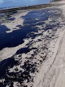 Imagem ilustrativa da imagem Mourão: Exército vai reforçar ações em praias atingidas por óleo