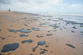 Imagem ilustrativa da imagem Manchas de petróleo atingem o Rio São Francisco