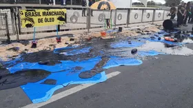 Imagem ilustrativa da imagem Ativistas ambientais jogam tinta preta na entrada do Palácio do Planalto
