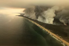 Imagem ilustrativa da imagem Fogo na Austrália é "catástrofe ecológica", diz cientista