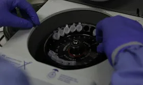 Imagem ilustrativa da imagem Coronavírus: cientistas britânicos começam a testar vacina em ratos