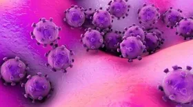 Imagem ilustrativa da imagem Virologista da UFMG afirma que epidemia de coronavírus é inevitável