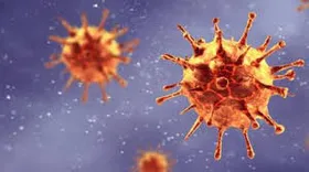 Imagem ilustrativa da imagem Reino Unido registra em 24 horas 621 mortes por coronavírus