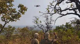 Imagem ilustrativa da imagem Trabalho dos bombeiros em Goiás será auxiliado por drones