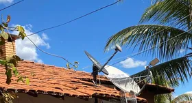 Imagem ilustrativa da imagem Internet é instalada em assentamentos da zona rural de Goiás