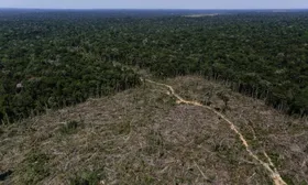 Imagem ilustrativa da imagem Amazônia perdeu 724 mil km² de floresta e vegetação em 33 anos