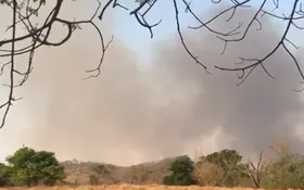 Imagem ilustrativa da imagem Incêndio no Parque Altamiro de Moura Pacheco já dura quatro dias