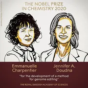 Imagem ilustrativa da imagem Inventoras da técnica CRISPR  recebem o Prêmio Nobel de Química