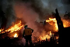 Imagem ilustrativa da imagem Amazônia registra maior números de foco de incêndio desde 2010