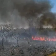 Imagem ilustrativa da imagem Bahia alerta emergência por  incêndios florestais