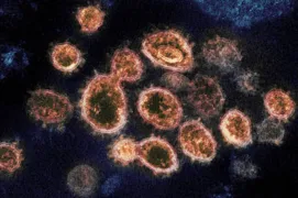 Imagem ilustrativa da imagem SP: Hospital identifica visitantes de pacientes internados com coronavírus