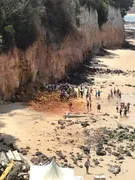 Imagem ilustrativa da imagem Parte de falésia desaba e mata 3 pessoas em praia do Rio Grande do Norte