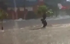 Imagem ilustrativa da imagem Homem agarra em árvore para não ser levado pela  enchente em Uberlândia MG