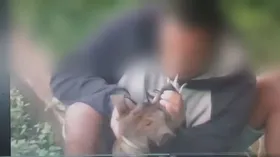 Imagem ilustrativa da imagem Polícia investiga homem que forçou cachorro a inalar fumaça de cigarro em vídeo