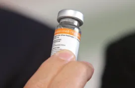 Imagem ilustrativa da imagem Ministro da Saúde cogita 9 milhões de doses da vacina Coronavac para o país