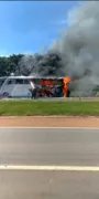 Imagem ilustrativa da imagem Ônibus interestadual pega fogo na BR 060, próximo a Anápolis
