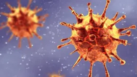Imagem ilustrativa da imagem Registrado no Brasil primeiro caso de reinfecção com mutação do coronavírus da África