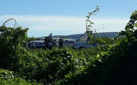 Imagem ilustrativa da imagem Avião que transportava vacinas da Covid-19 bate em jumento que estava na pista de aeródromo na Bahia