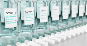 Imagem ilustrativa da imagem Projeto permite produção de vacinas contra a Covid-19 por indústria veterinária