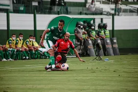 Imagem ilustrativa da imagem Com vantagem tranquila, Atlético-GO recebe Goiás no Antônio Accioly