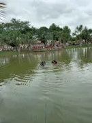 Imagem ilustrativa da imagem Homem morre afogado em lago no Parque Industrial João Brás