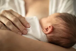 Imagem ilustrativa da imagem Covid-19: estudo mostra que leite materno produzido por mães vacinadas   tem anticorpos contra a doença