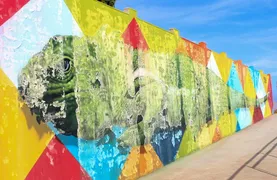 Imagem ilustrativa da imagem Pintura de mural em Boa Vista, que custou R$ 400 mil desmancha quatro meses após inauguração