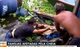 Imagem ilustrativa da imagem Ao vivo, repórter da Globo cai de ponte durante jornal; assista