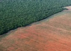 Imagem ilustrativa da imagem Amazônia está emitindo mais CO2 do que absorvendo