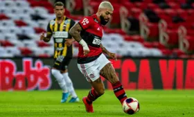 Imagem ilustrativa da imagem Havan fecha acordo com Flamengo e vai estampar marcar na manga da camisa