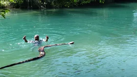 Imagem ilustrativa da imagem Homem aparece nadando ao lado de sucuri e assusta banhistas em MS