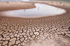 Imagem ilustrativa da imagem Goiás pode ter a pior seca em 111 anos