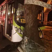 Imagem ilustrativa da imagem Ônibus coletivo bate em árvore e deixa feridos em Goiânia