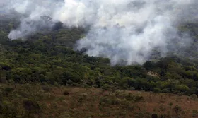 Imagem ilustrativa da imagem Helicóptero é enviado para ajudar no combate a incêndio na região da Chapada dos Veadeiros