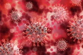 Imagem ilustrativa da imagem Cepa indiana: Nova variante do coronavírus é encontrada em Goiânia