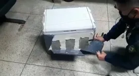 Imagem ilustrativa da imagem PRF prende jovem com seis quilos de pasta base de cocaína em caixa térmica na BR-060