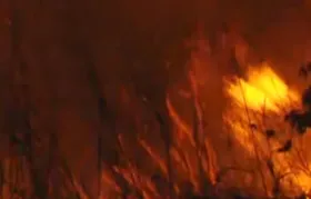 Imagem ilustrativa da imagem Incêndio atinge o Morro do Mendanha