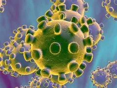 Imagem ilustrativa da imagem Brasil alcançou o menor numero de transmissões do coronavírus