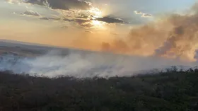 Imagem ilustrativa da imagem Incêndio no Parque Estadual Altamiro de Moura Pacheco