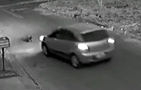 Imagem ilustrativa da imagem Motorista é flagrado jogando carro em cima de cachorro