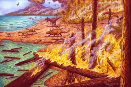 Imagem ilustrativa da imagem Antártida enfrentava incêndios há mais de 75 milhões de anos, diz pesquisa