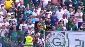 Imagem ilustrativa da imagem Torcedora que levou bolada no rosto durante jogo do Goiás luta para recuperar visão