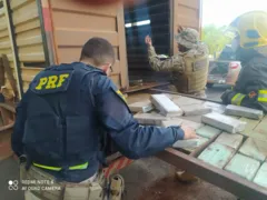 Imagem ilustrativa da imagem Cerca de 300 kg de cocaína são encontrados  em caminhão boiadeiro
