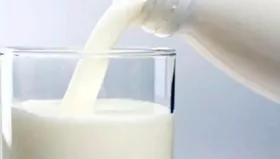 Imagem ilustrativa da imagem Projeto incluí leite no cardápio da alimentação escolar