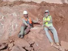 Imagem ilustrativa da imagem Novo fóssil de dinossauro é encontrado em obra de rodovia no interior de SP