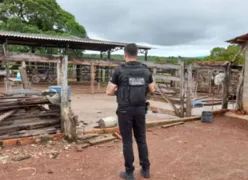 Imagem ilustrativa da imagem Fazendeiro é suspeito de matar caseiro, em Nova Iguaçu
